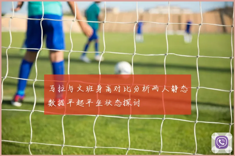 马拉与文班身高对比分析两人静态数据平起平坐状态探讨